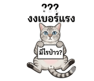 851851628