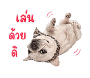 851853126