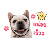 851853142