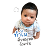 851854544