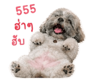 851855357