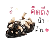 851855758