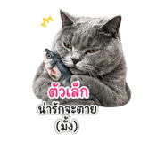 851855820