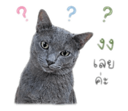 851855925