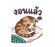 851856400