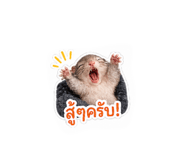 851857577