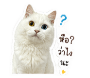 851858669