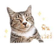 851859565