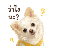 851860024