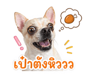 851865213