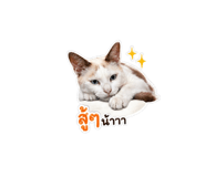 851872084