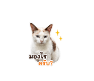 851872089