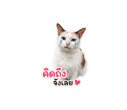 851872092