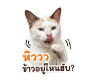 851872099