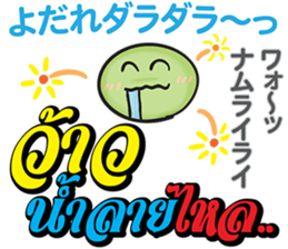 8518721