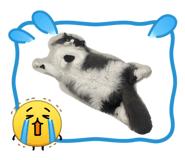 851876914