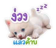 851879022