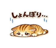 851880942