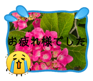 851881242
