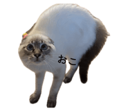 851881698