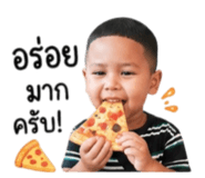 851883113