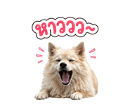 851887309