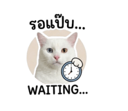 851891135