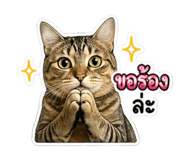 851891671