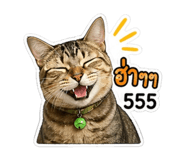 851891672