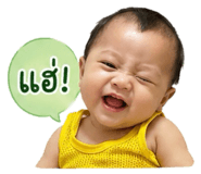 851901155