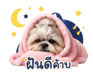 851902056