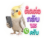 851905316