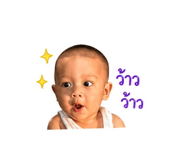 851906044