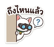 851906538