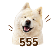 851907992