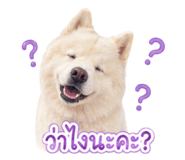 851908000