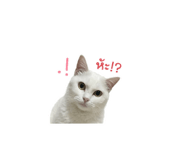 851908179