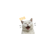 851908180