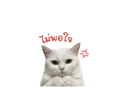 851908181
