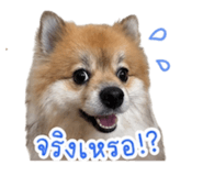 851908622