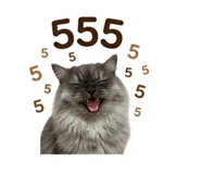 851908945