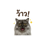851908947