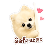 851910300