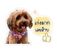 851912654