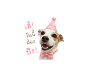 851912985