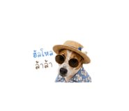 851913001