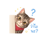 851913980
