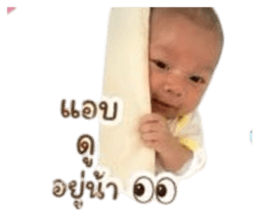 851919202
