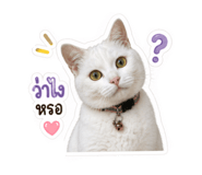 851924345