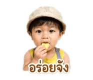 851924482